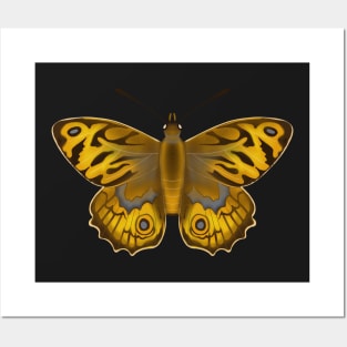 Yellow butterfly Posters and Art